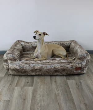 Gemütlicher Schlafplatz: Mit unserem AirleXX für Hunde!