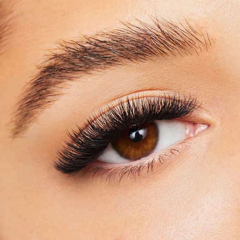 Für den perfekten Augenaufschlag: Qualität von J & B Lashes