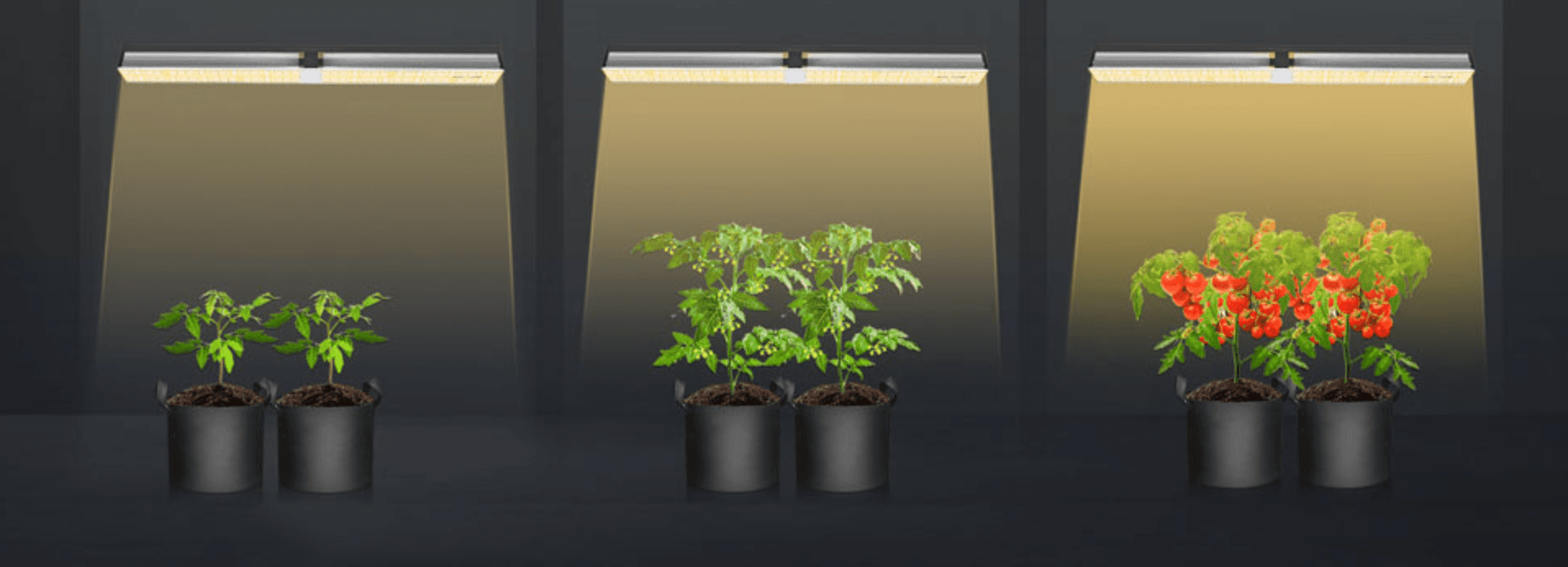 Pflanzenwachstum leicht gemacht: Energieeffiziente LED-Lampen für Ihren Indoor-Garten