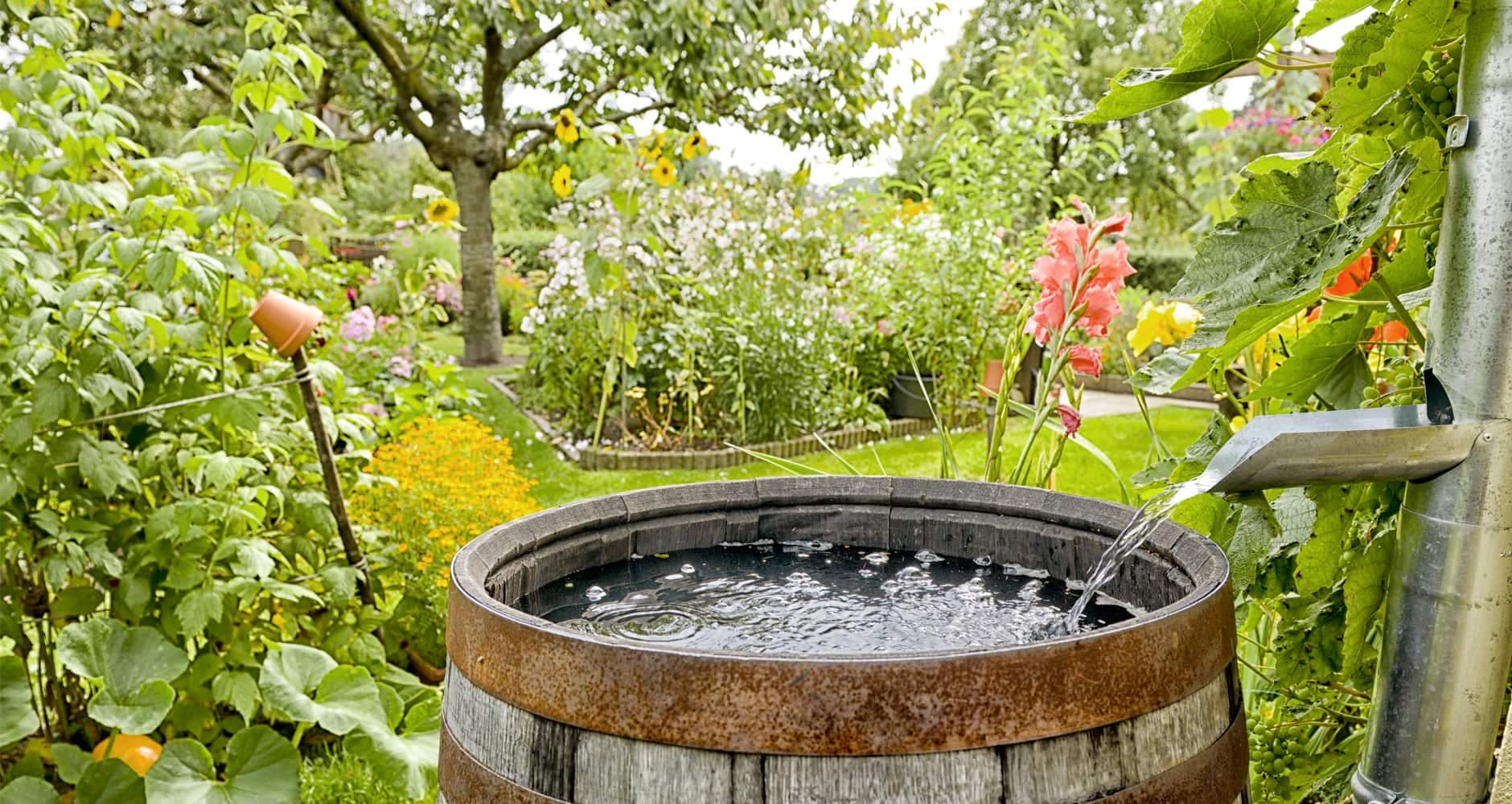 Die Vorteile der Regenwassernutzung mit All4Water
