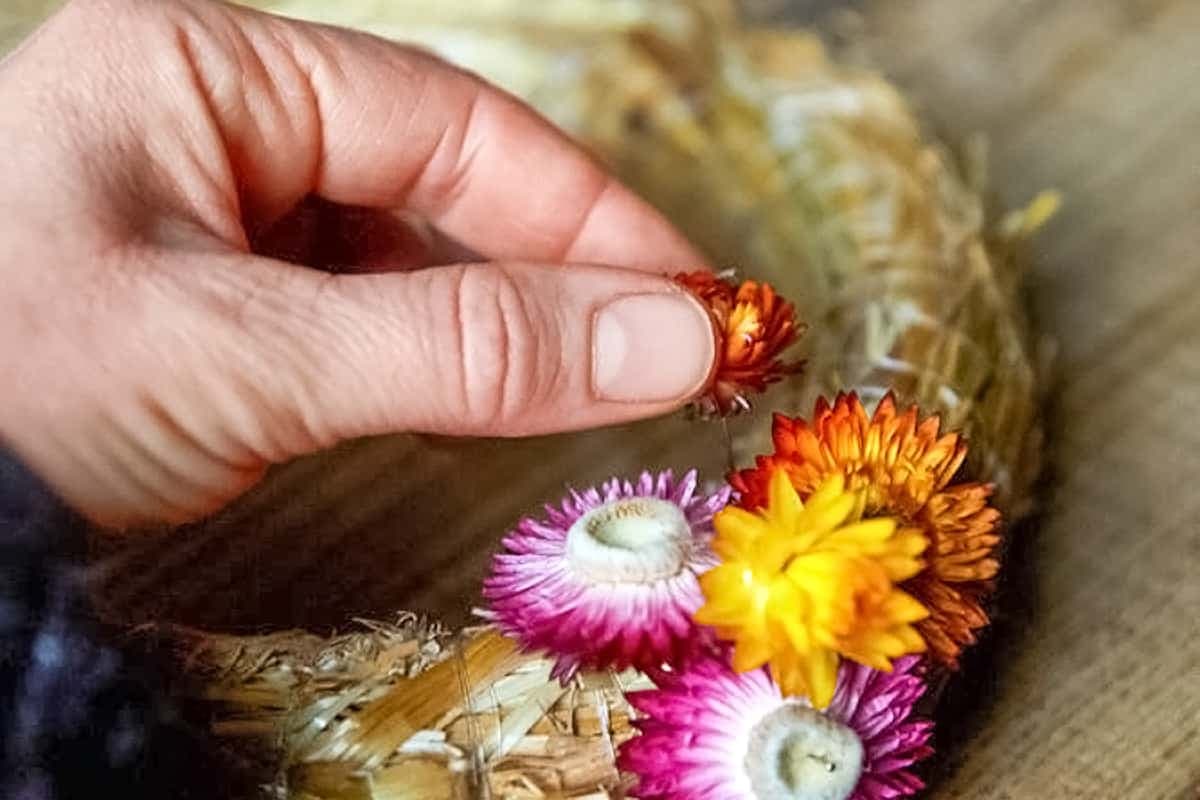 Blumen trocknen für Einsteiger: Tipps und Tricks für perfekte Ergebnisse