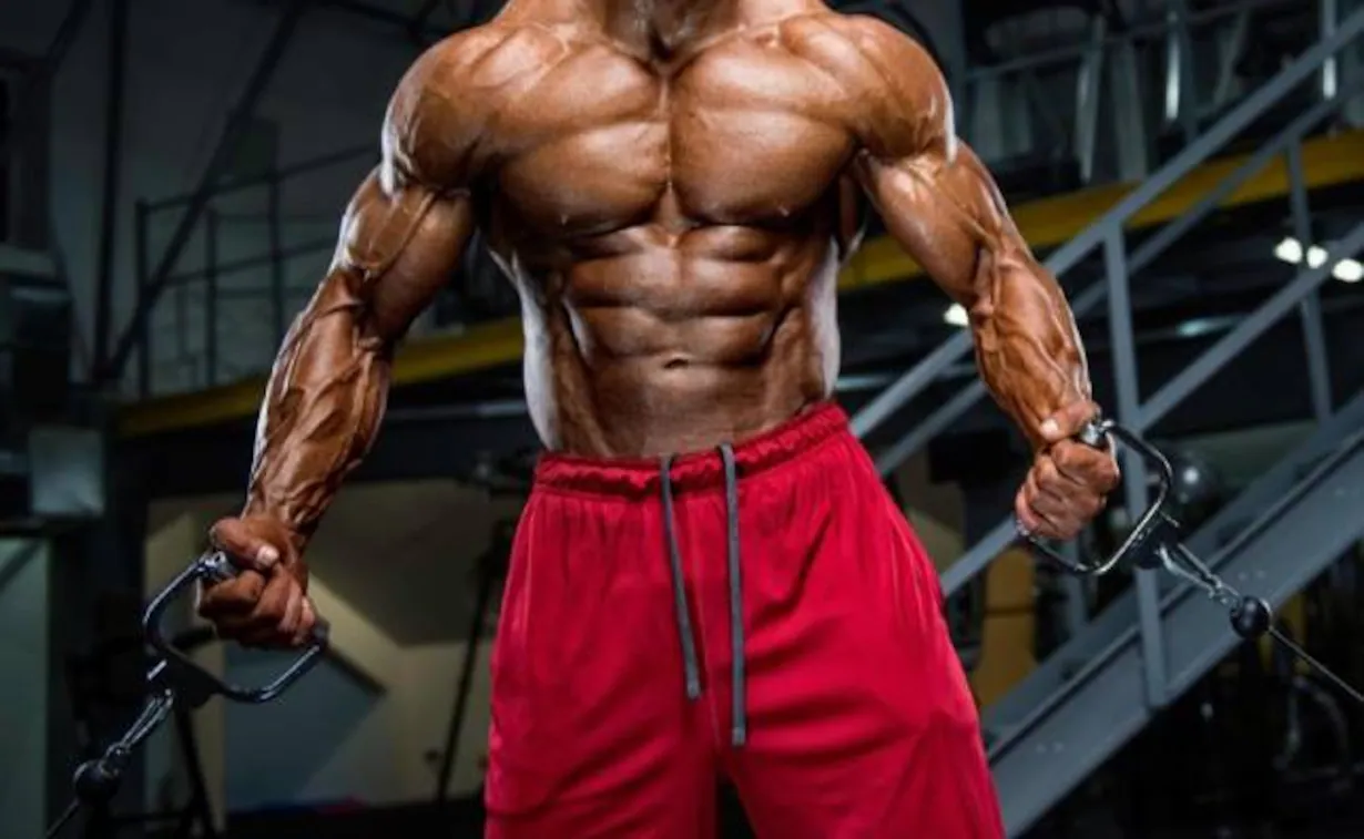 Fatburner Extrem für maximale Fettverbrennung bei Fatburnerking