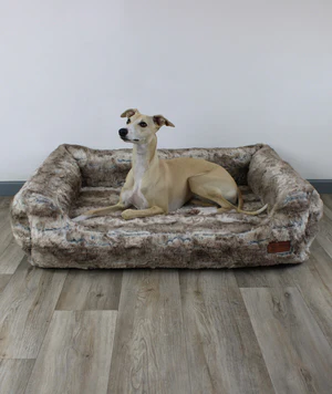 Gemütlicher Schlafplatz: Mit unserem AirleXX für Hunde!