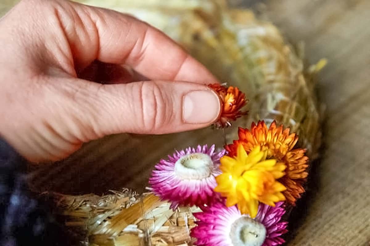 Blumen trocknen für Einsteiger: Tipps und Tricks für perfekte Ergebnisse